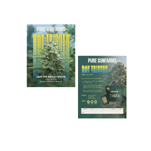 Pure Sunfarms - Daytripper Digital Info Sheet